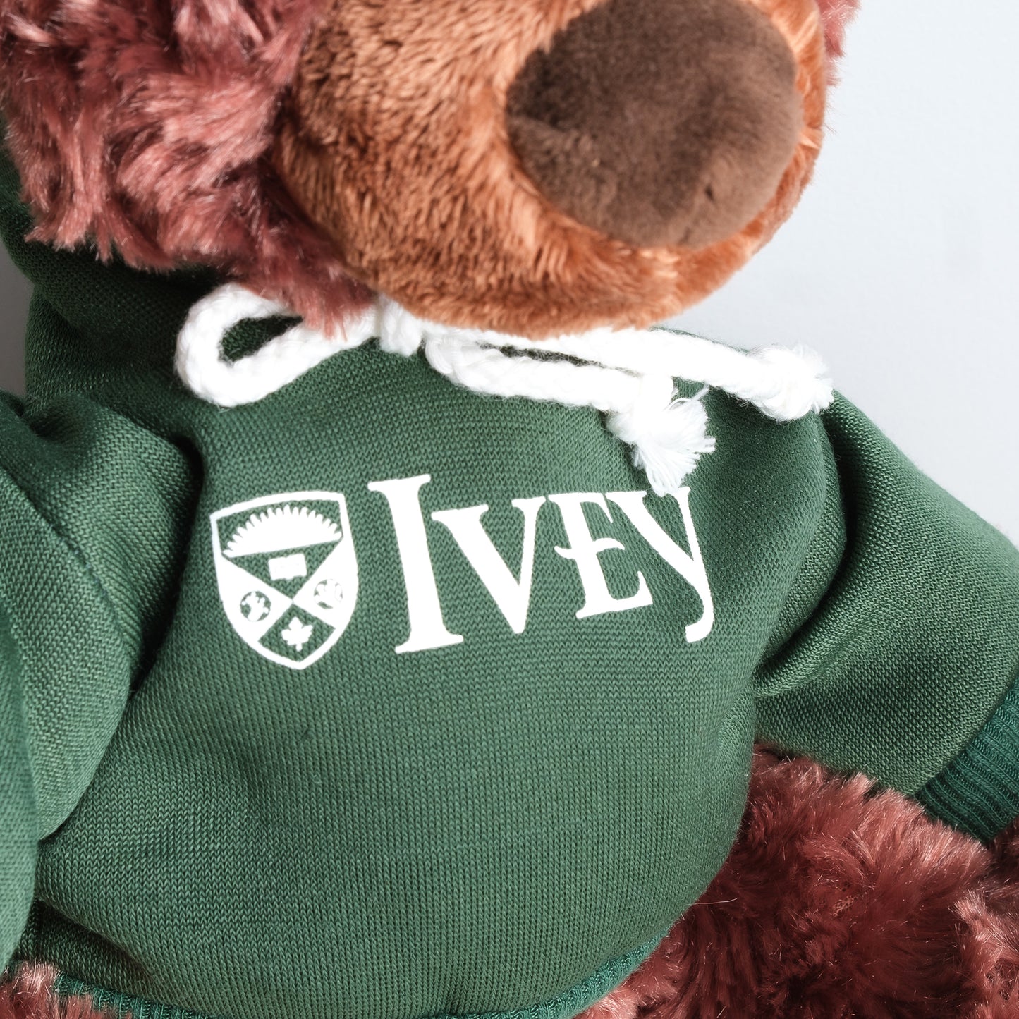 GUND® Philbin Bear